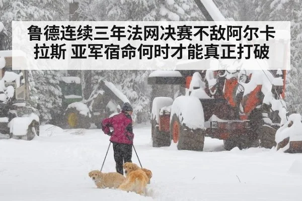 鲁德连续三年法网决赛不敌阿尔卡拉斯 亚军宿命何时才能真正打破